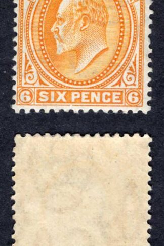 Falkland Is SG47 6d Orange U/M Cat 45++ pounds