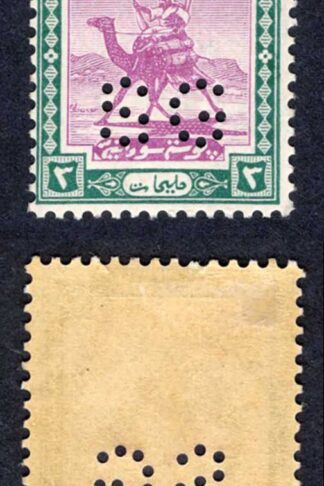 Sudan SGO21 3m Mauve and Green M/M Cat 25 pounds