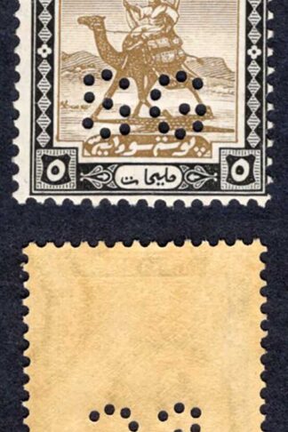 Sudan SGO23 5m Mauve and Green M/M Cat 10 pounds
