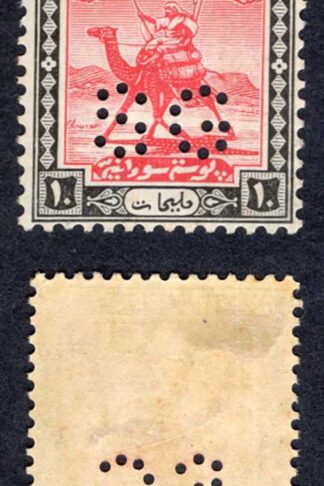 Sudan SGO24 10m Mauve and Green M/M Cat 13 pounds