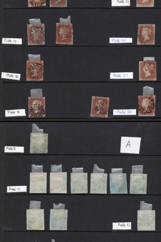 1841 Penny Reds page of 18 some with faults All with Maltese Crosses