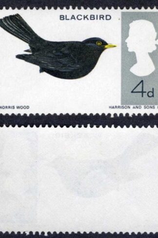 SG699 4d Black Bird MISSING LEGS M/M Cat 80 pounds