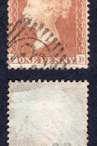 Penny Star (PB) C8 Plate 46 Cat 70 pounds