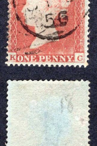 Penny Star (KC) SG18 Yellow Brown CDS Used Cat from 35 pounds