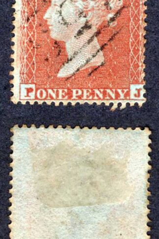 SG17 Penny Star (PJ) Red-brown Fine used Cat 25 pounds