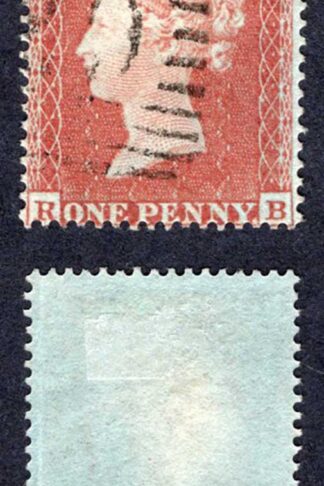 SG17 Penny Star (RB) Red-brown Fine used Cat 25 pounds