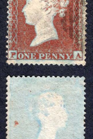 SG17 Penny Star (PA) Red-brown Fine used IVORY HEAD Cat 25 pounds