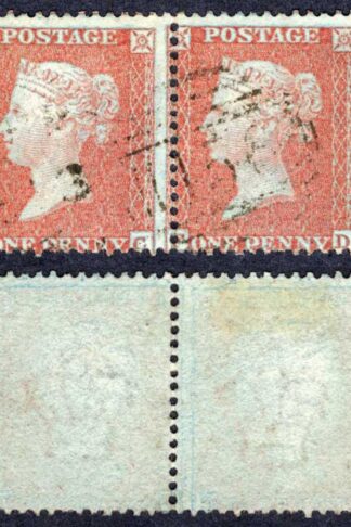 Penny Star (FC/FD) Large Crown Perf 14 PAIR