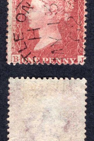 Penny Star (BJ) C10 Fine CDS