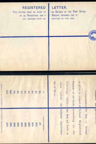 RP20 QV 2d Blue Registered Envelope size K Mint